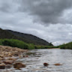 Meet your Posher, Ray